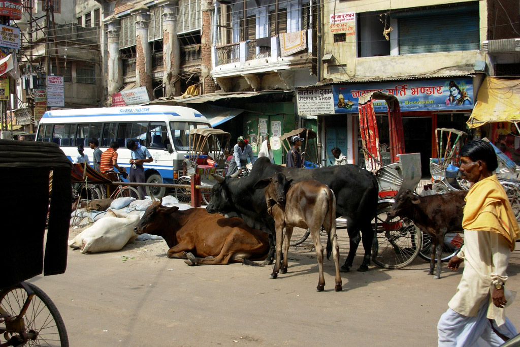 Indie - v ulicich Varanasi